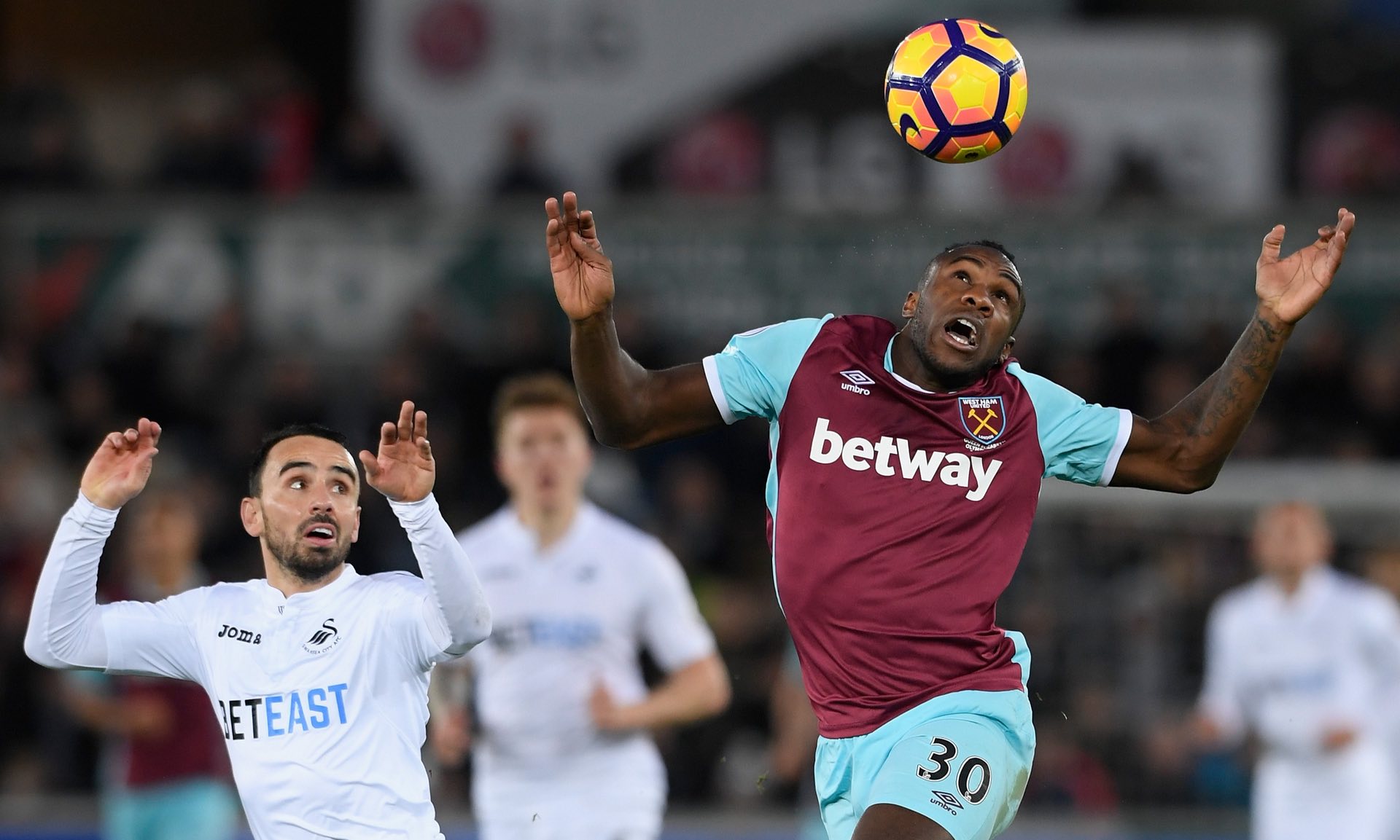 并强调他们 并强调他们